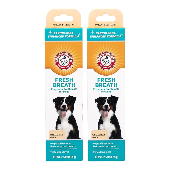 Arm & Hammer for Pets Fresh Breath Enzymatic Toothpaste for Dogs, Vanilla Ginger Flavor | Dog Toothpaste for All Dogs in a Flavor Dogs will Love | 2.5 Ounces - 2 Pack