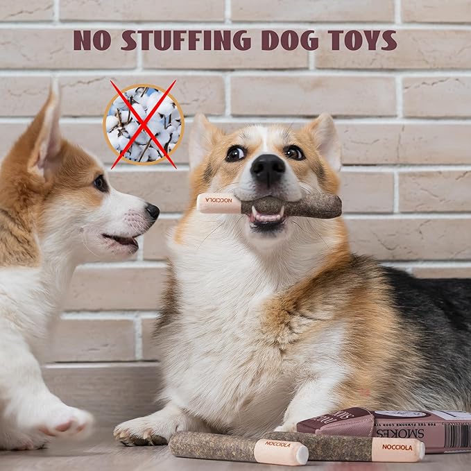 Nocciola Funny Squeaky Dog Toys, Cool Stuffed Plush Toys for Medium, Small and Large, Accessories for Dog Birthday - Doggie