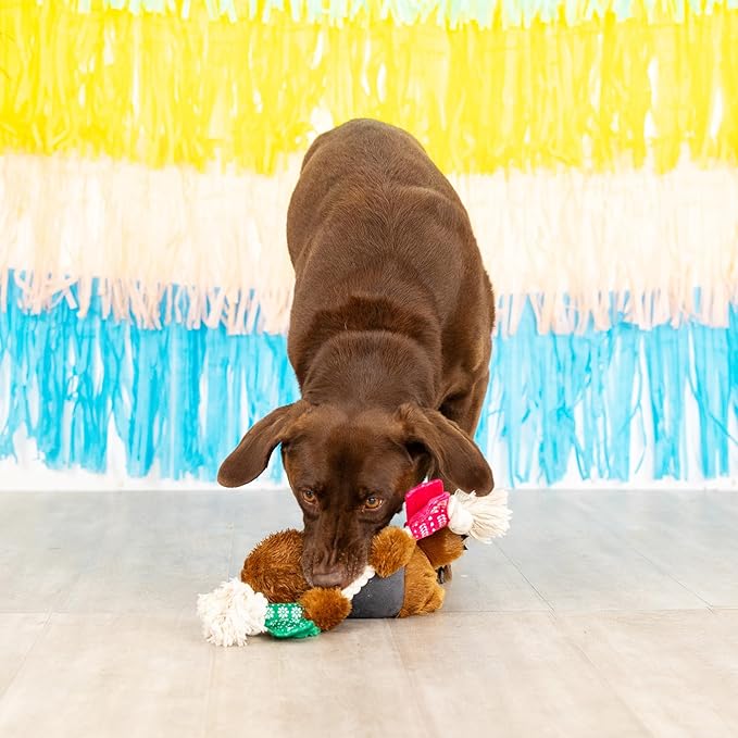 Fringe Studio Plush Dog Toy, Tacos & Tequila, Pet Shop Collection (314158)