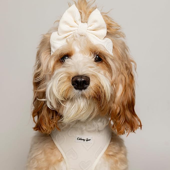 Large Dog Harness Set – No Pull Harness with Matching Leash, Collar, Bandana, Sailor Bow & Poop Bag Holder – Pastel Cream with Heart Embroidery – Adjustable, Soft, Aesthetic Outfit