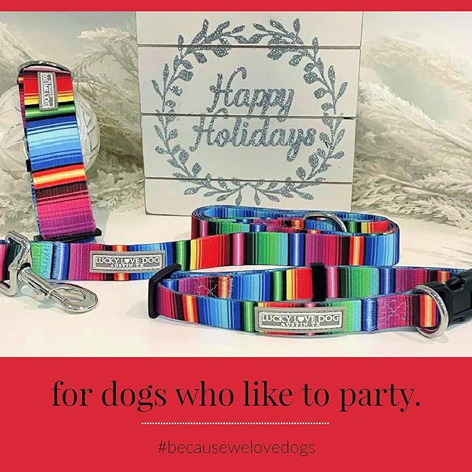 Lucky Love Dog - Adjustable Dog Collar with Easy Click Buckle for Small to Large Dogs, Durable, & Comfortable for Male & Female Dogs, Pet Collar for Puppies & Adult Ones - Nacho, XS