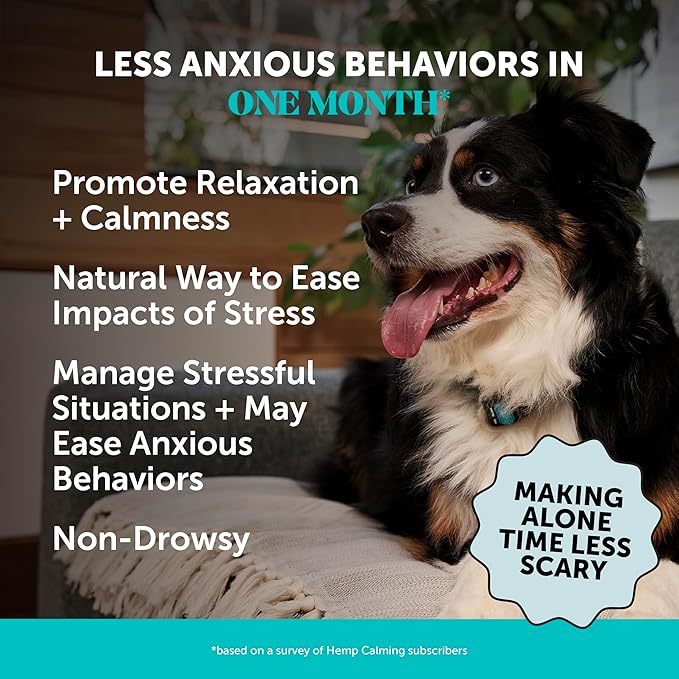 Pet Honesty Natural Hemp Calming Chews for Dogs - Dog Anxiety Relief - Calming Aid Supplement with Valerian Root, Chamomile, + Magnesium - Stress, Separation & Thunder Support - (Chicken, 90 Count)