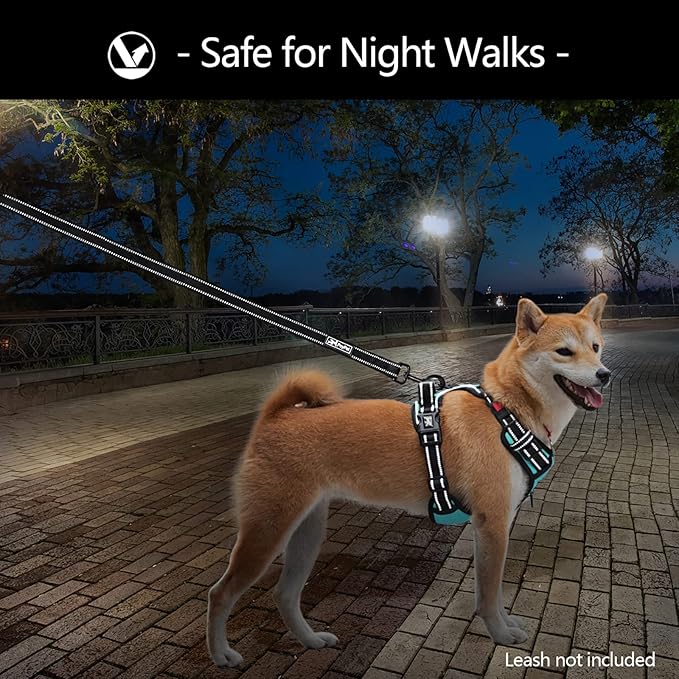 PoyPet No Pull Dog Harness, No Choke Front Clip Dog Reflective Harness, Adjustable Soft Padded Pet Vest with Easy Control Handle for Small to Large Dogs(Mint Blue,L)