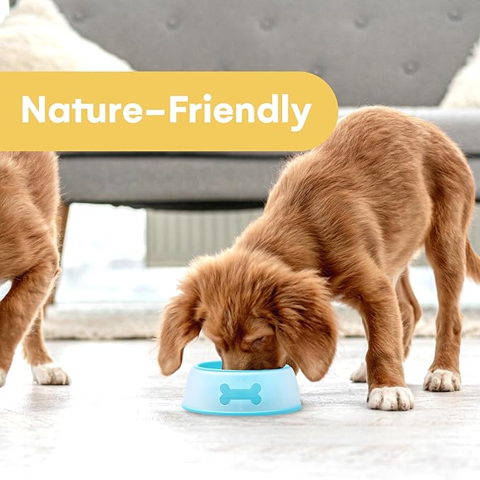 Noa Store Plastic Dog Feeding Station - Puppy Water Bowl Non-Spill - Accessories for Puppies - Double Layer Pet Bowl - Durable Hygienic Non-Skid Bowl - Blue