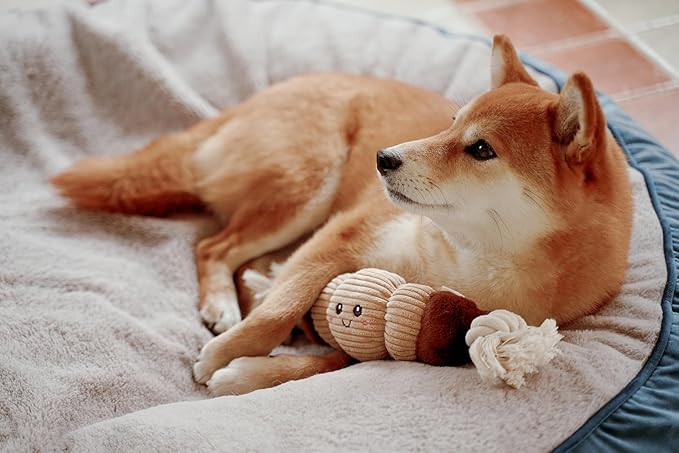 Squeaky Dog Plush Toy, Bakery Bite_Stick Collection, 12", for Various Sized Dogs (Croissant, Large)