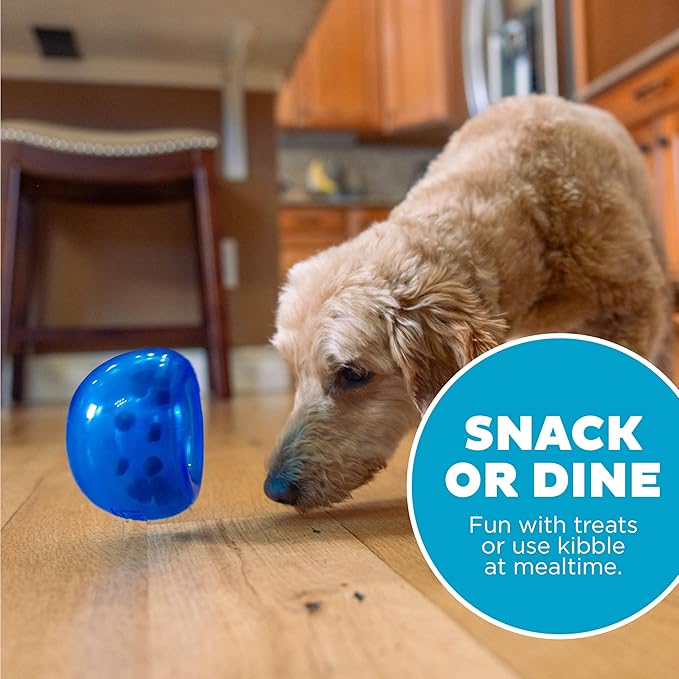 Outward Hound by Planet Dog Lil' Snoop Durable Interactive Treat Dispensing Dog Toy, Small, Royal Blue