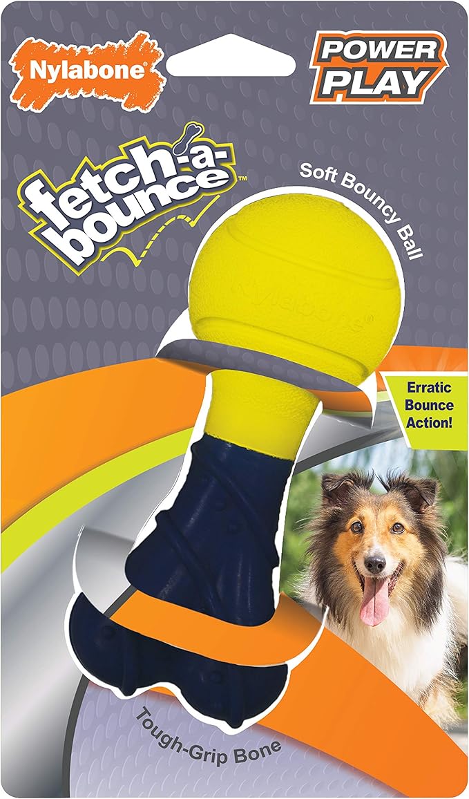 Nylabone Power Play Fetch-a-Bounce Interactive Play Toy, Fetch Toy for Dogs, Small (1 Count)
