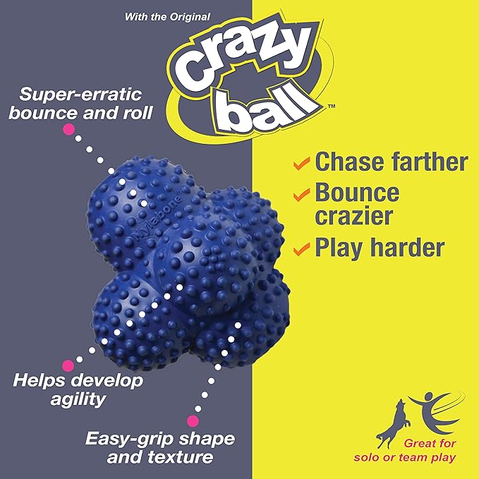 Nylabone Power Play Crazy Ball Interactive Play Toy, Fetch Ball Toy for Dogs, Large (1 Count)