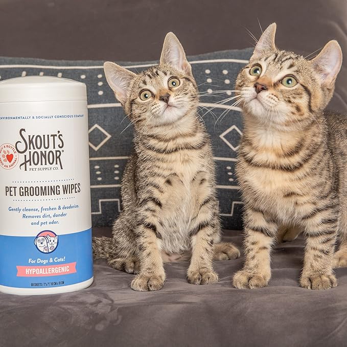 SKOUT'S HONOR Pet Grooming Wipes for Dogs and Cats - Deodorizing, Plant-Based, Biodegradable, Fragrance-Free - for Paws, Faces, Skin Folds & Bums, 80 Count