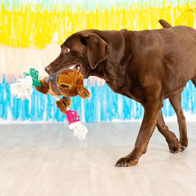 Fringe Studio Plush Dog Toy, Tacos & Tequila, Pet Shop Collection (314158)