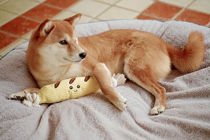 Squeaky Dog Plush Toy, Bakery Bite_Stick Collection, 12", for Various Sized Dogs (Baguette, Large)