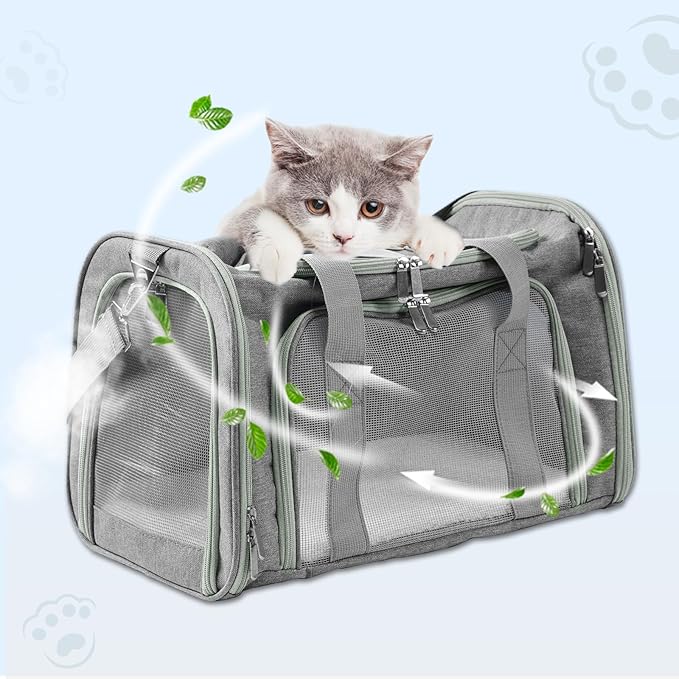 Travel in Style: Portable Pet Carrier for Small Pets up to 15 Lbs- Airline Approved, Collapsible & Comfortable cat/Puppy Soft Sided Bag (Dark Gray)