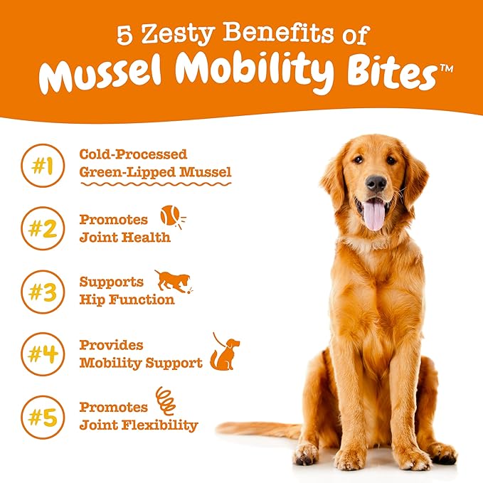 Zesty Paws Mussel Mobility Bites for Dogs - New Zealand Green Lipped Mussel with Natural Glucosamine & Chondroitin + Omega-3 Fatty Acids - Hip & Joint Support Supplement Soft Chews – 90 Count