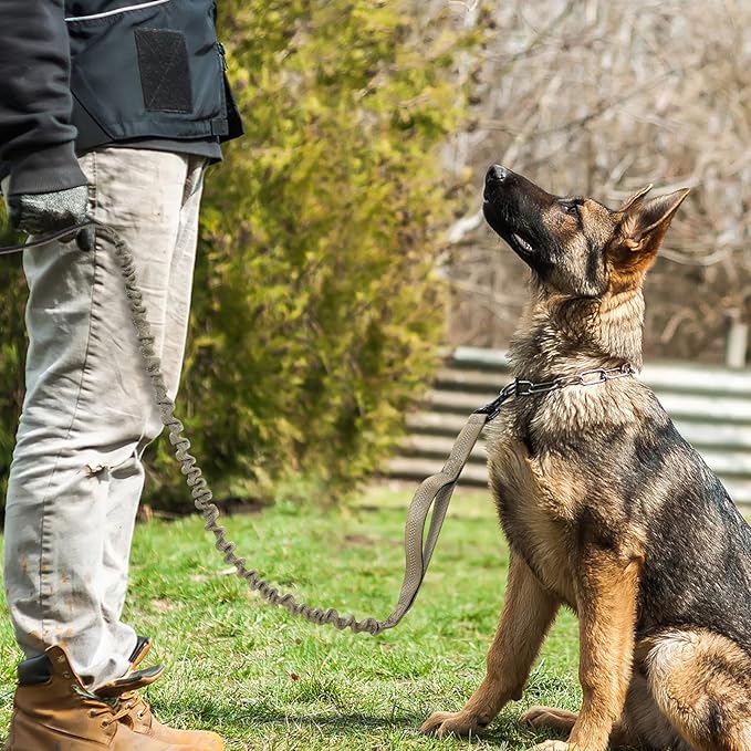 rabbitgoo Tactical Bungee Dog Leash with Shock Absorption, Military Training Leash with 2 Padded Control Handles for Medium Large Dogs, 4FT, Brown