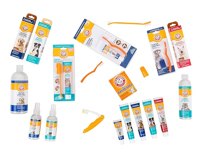 Arm & Hammer for Pets Tartar Control Enzymatic Toothpaste for Dogs Reduces Plaque & Tartar Buildup Safe for Puppies Beef Flavor, 2.5 Ounces Dog Toothpaste (Pack of 1)