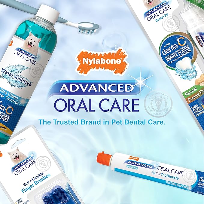 Nylabone Advanced Oral Care Senior Dog Dental Kit with Cushiony Soft-Bristle Toothbrush Senior 3 Count