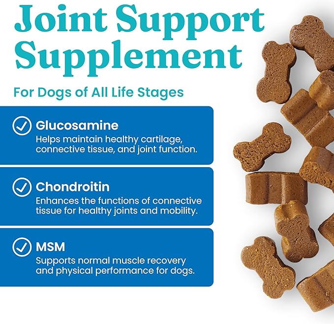 Solid Gold Glucosamine for Dogs Hip and Joint Supplement - Glucosamine Chondroitin MSM for Dog Pain Relief - Leaps & Hounds Chews for Dog Arthritis Pain Relief & Overall Mobility - 120 Soft Chews