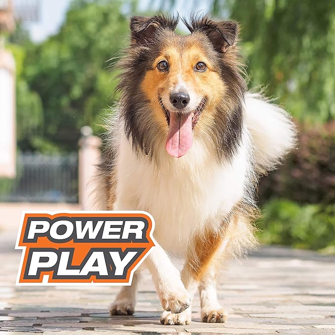 Nylabone Power Play Crazy Ball Interactive Play Toy, Fetch Ball Toy for Dogs, Large (1 Count)