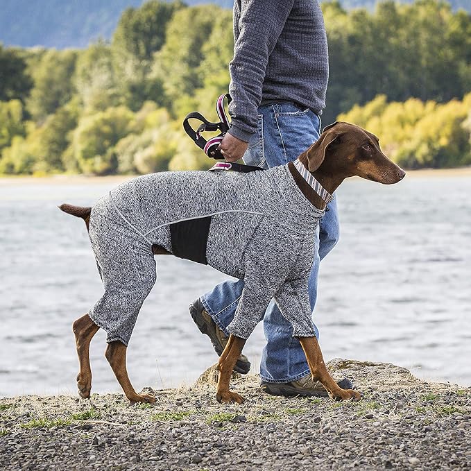 Kurgo Stowe Base Layer, Dog Onesie Body Warmer, Bodysuit for Dogs, Recovery Suit, Reduce Anxiety, Contains Shedding, Leash Opening, Reflective, Heather Black (X-Small)