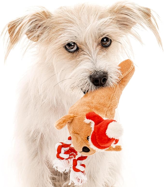 Holiday Collection Dog Toys | Small Sized Santa - Walter The Walrus | Cute, Durable, & Sustainable Plush Chew Toys for Dogs | Christmas Stocking Stuffer Gift