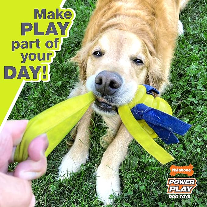 Nylabone Power Play Crazy Ball Interactive Play Toy, Fetch Ball Toy for Dogs, Large (1 Count)