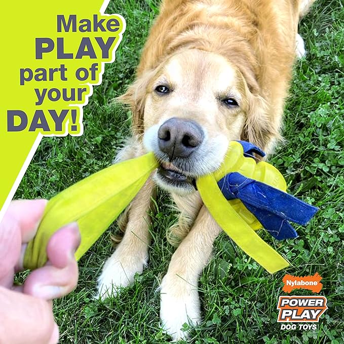 Nylabone Power Play Fetch-a-Bounce Interactive Play Toy, Fetch Toy for Dogs, Small (1 Count)