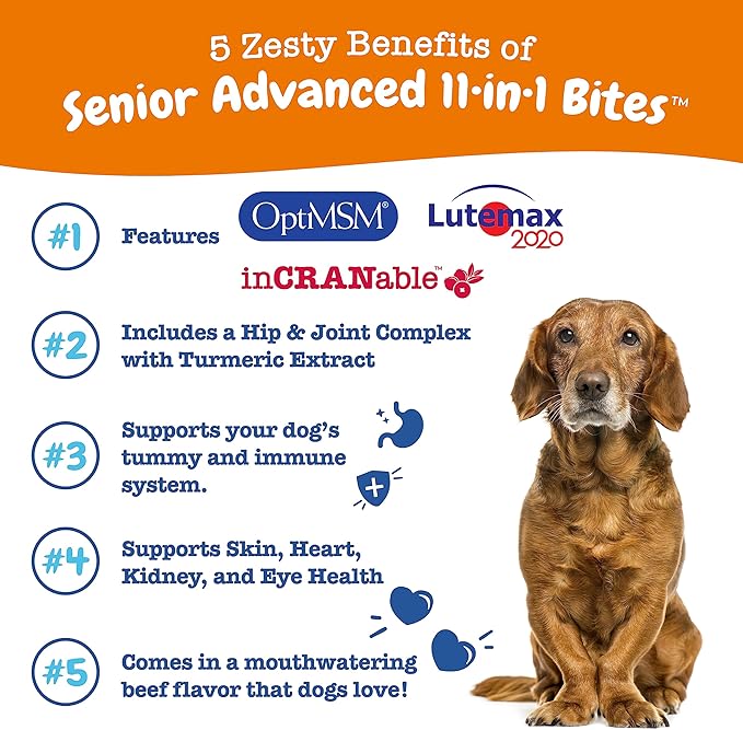 Zesty Paws Senior Dog Multivitamin Treats - Glucosamine for Dogs + Digestive Enzymes & Probiotics - Grain Free Dog Vitamins and Supplements for Skin & Coat + Immune Health Beef - Advanced - 90ct