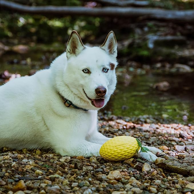 Hound2O Outdoor Dog Toys - Squeaky Football, Yellow - Tough, Engaging, Interactive Toy for All Breeds- Chew, Chase, & Fetch - Durable Non-Toxic Materials That Float - Easy to Clean for Outdoor Play