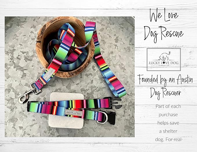 Lucky Love Dog - Adjustable Dog Collar with Easy Click Buckle for Small to Large Dogs, Durable, & Comfortable for Male & Female Dogs, Pet Collar for Puppies & Adult Ones - Nacho, Medium