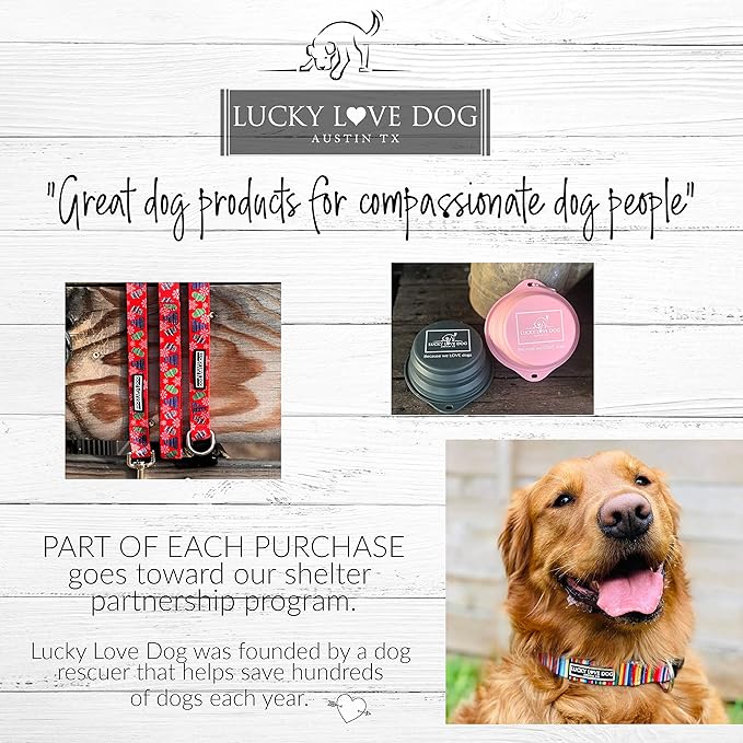 Lucky Love Dog - Adjustable Dog Collar with Easy Click Buckle for Small to Large Ones, Durable, & Comfortable for Male & Female Dogs, Pet Collar for Puppies & Adult Dogs - Chilly, XS