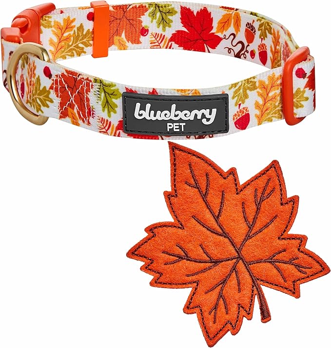 Blueberry Pet Adjustable Thanksgiving Dog Collar - Medium 14.5"-20" Neck, Perfect Puppy Collar for Fall, Maple Décor, Dog Collars for Small Dogs, Ideal for Family Photos & Matching Outfits