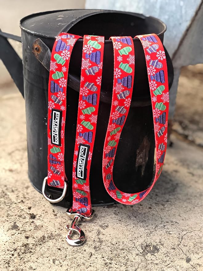 Lucky Love Dog - Adjustable Dog Collar with Easy Click Buckle for Small to Large Ones, Durable, & Comfortable for Male & Female Dogs, Pet Collar for Puppies & Adult Dogs - Chilly, XS