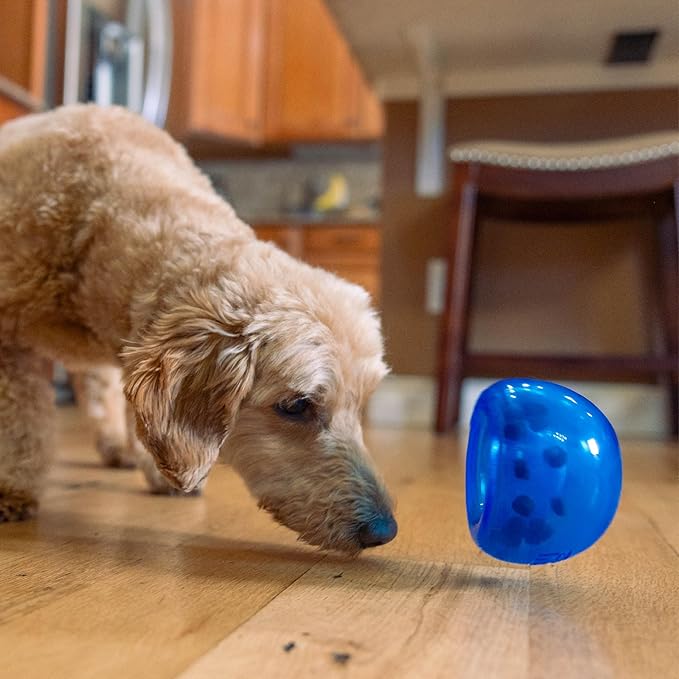 Outward Hound by Planet Dog Lil' Snoop Durable Interactive Treat Dispensing Dog Toy, Small, Royal Blue