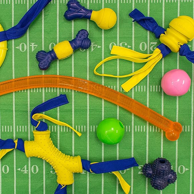 Nylabone Power Play Crazy Ball Interactive Play Toy, Fetch Ball Toy for Dogs, Large (1 Count)