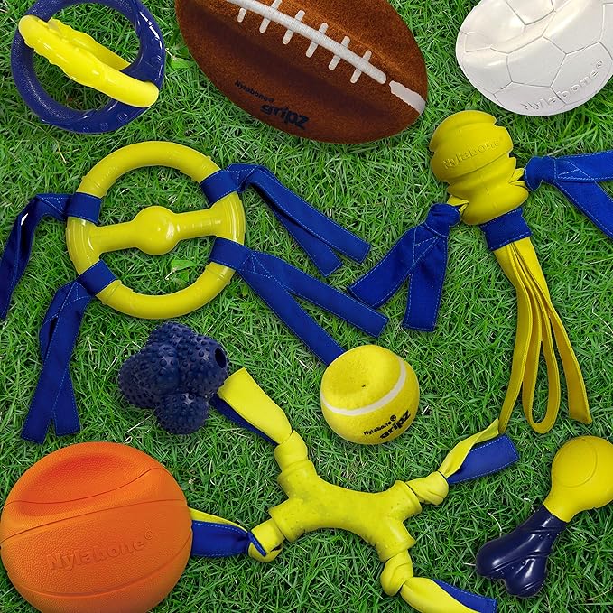 Nylabone Power Play Crazy Ball Interactive Play Toy, Fetch Ball Toy for Dogs, Large (1 Count)