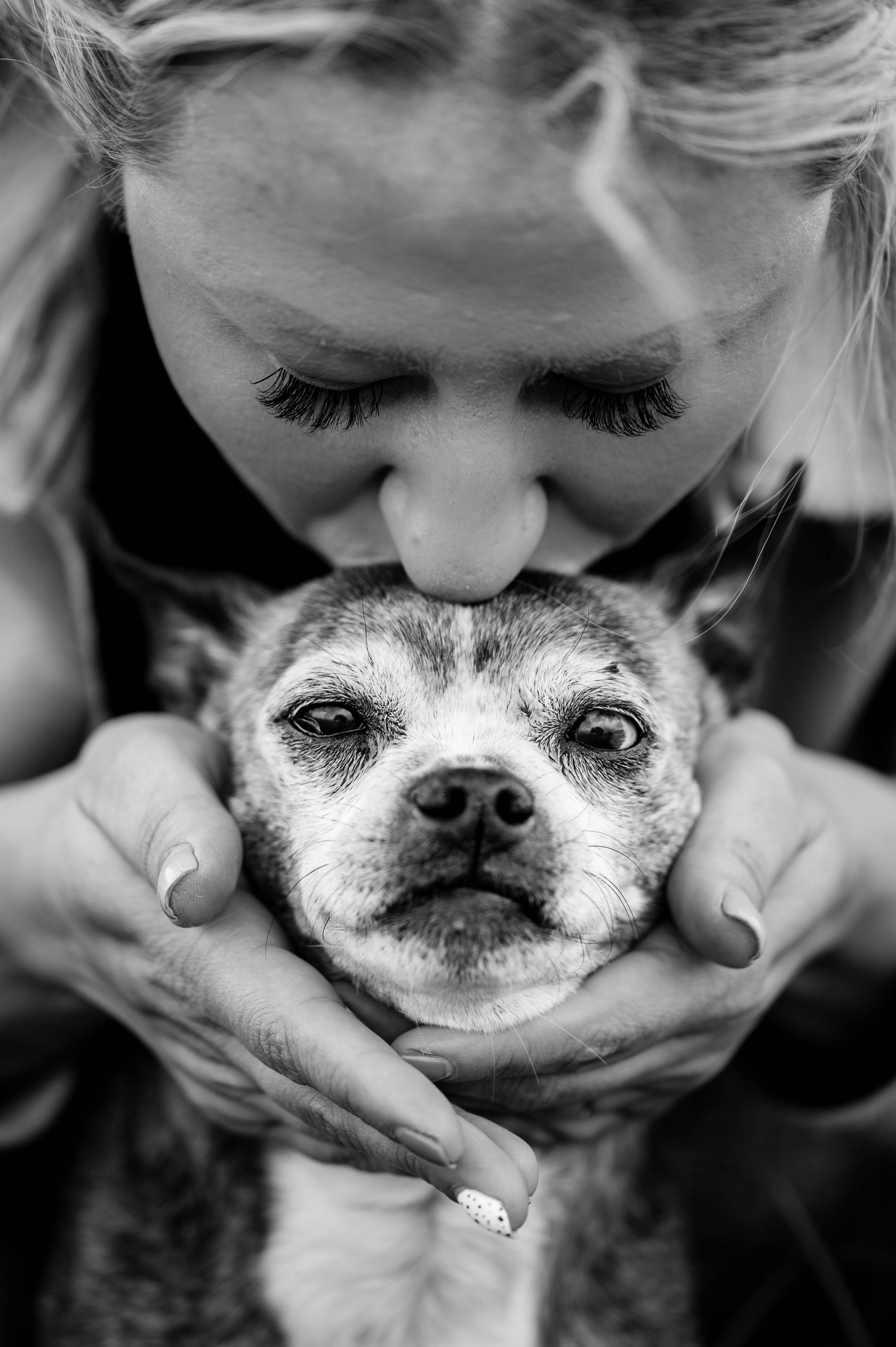 How to Comfort an Aging Dog: Simple Tips for Senior Dog Care