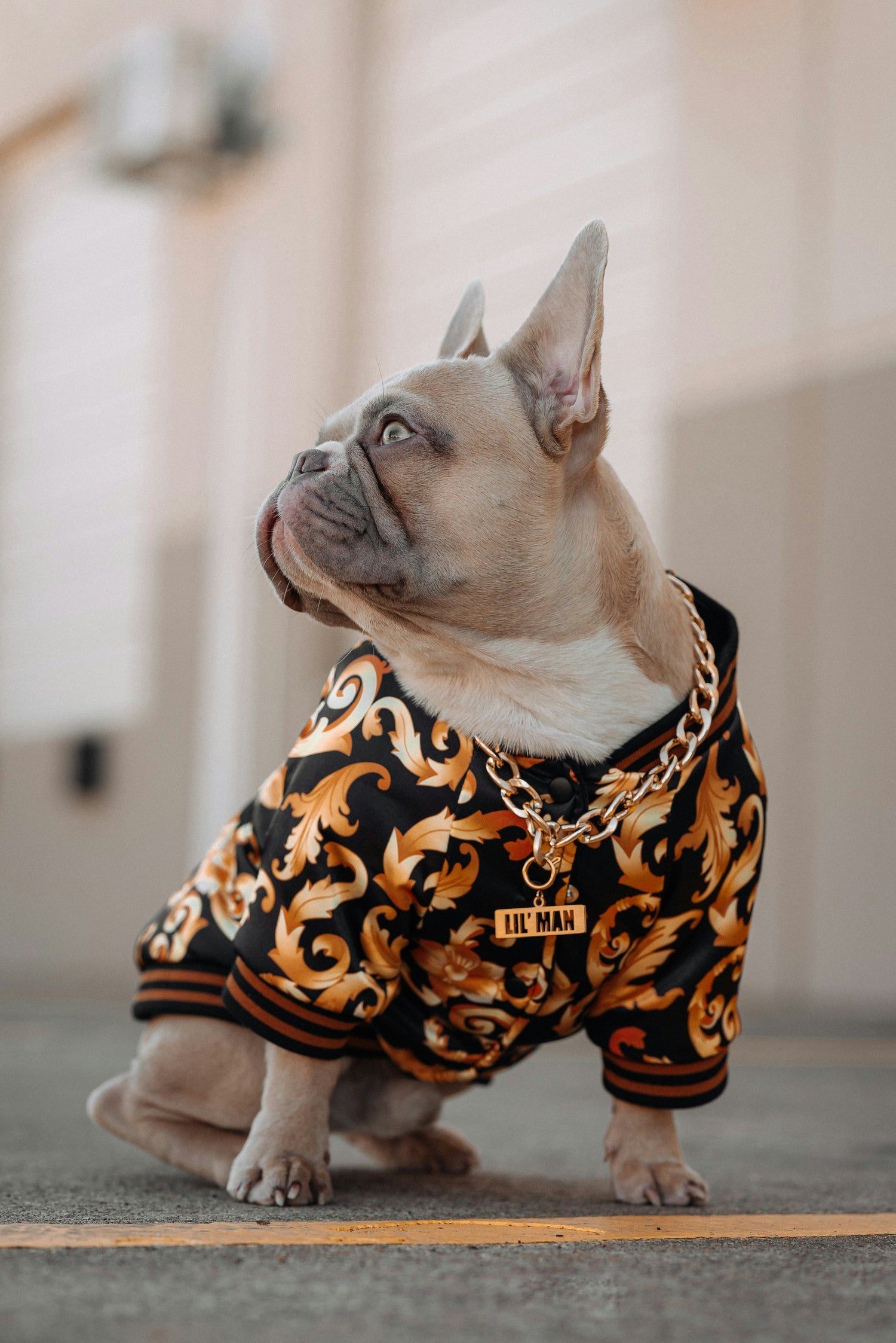Dog Clothes