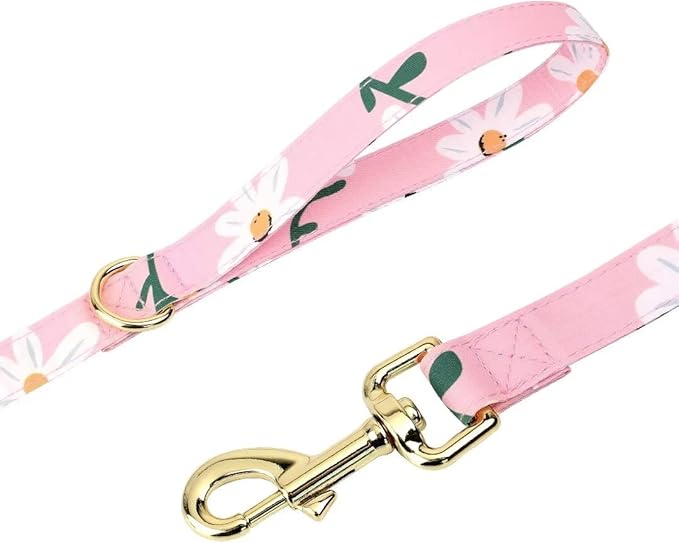 Beirui Cute Girl Dog Collars, Harnesses & Leashes Set - Adjustable Dog Collar and Leash Set with Flower - Soft Mesh Dog Vest Harness for Puppies Small Medium Dogs (Pink-1,XS)