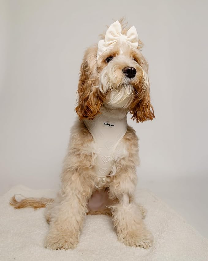 Medium Dog Harness Set – No Pull Harness with Matching Leash, Collar, Bandana, Sailor Bow & Poop Bag Holder – Pastel Cream with Heart Embroidery – Adjustable, Soft, Aesthetic Outfit