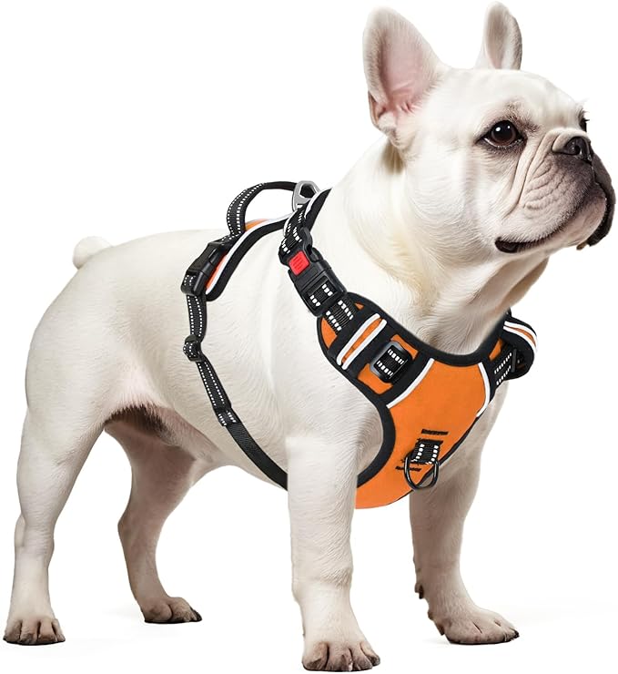 Timos Dog Harness Small Sized, No Pull with Neck Lockable Snap,No Choke Front Clip Dog Reflective Harness,Adjustable Metal Rings 3 Buckles,Easy Control Handle for Small Dogs Orange XS