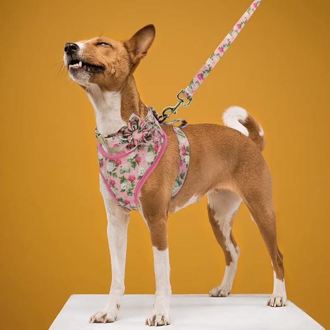 Beirui Cute Girl Dog Collars, Harnesses & Leashes Set - Adjustable Dog Collar and Leash Set with Flower - Soft Mesh Dog Vest Harness for Puppies Small Medium Dogs (Pink,S)