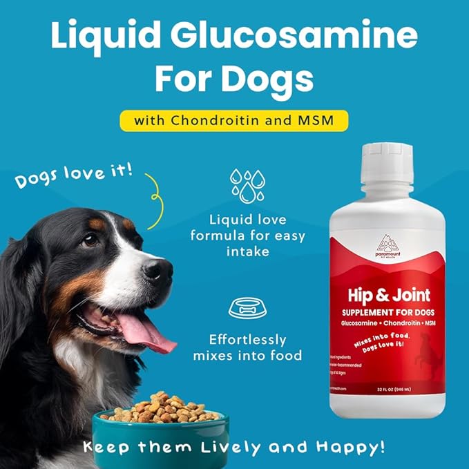 Liquid Glucosamine for Dogs, 1600 mg Glucosamine Liquid for Dogs Hip & Joint Supplement, Ideal for Mobility & Comfort, Easy-to-Use Liquid MSM, Chondroitin, Made in USA, 32 oz