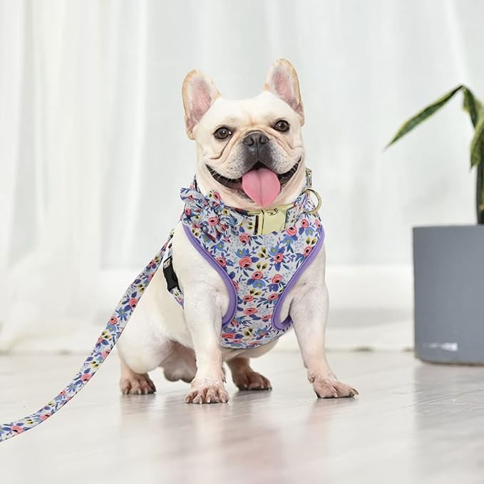 Beirui Cute Girl Dog Collars, Harnesses & Leashes Set - Adjustable Dog Collar and Leash Set with Flower - Soft Mesh Dog Vest Harness for Puppies Small Medium Dogs (Blue,XS)