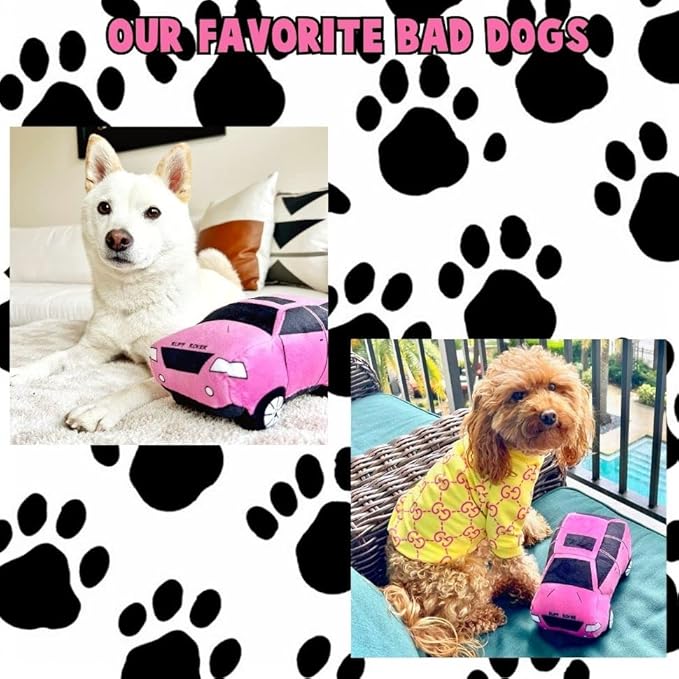 Bad Dog Ruff Rover Parody Plush Funny Cute Unique Squeaky Fun Dog Toy with Squeaker for Small Medium Breeds Designer Puppy Gifts Birthday Stuff Car Truck Pet Safe Materials (Pink)