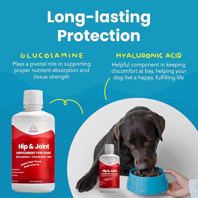 Liquid Glucosamine for Dogs, 1600 mg Glucosamine Liquid for Dogs Hip & Joint Supplement, Ideal for Mobility & Comfort, Easy-to-Use Liquid MSM, Chondroitin, Made in USA, 32 oz