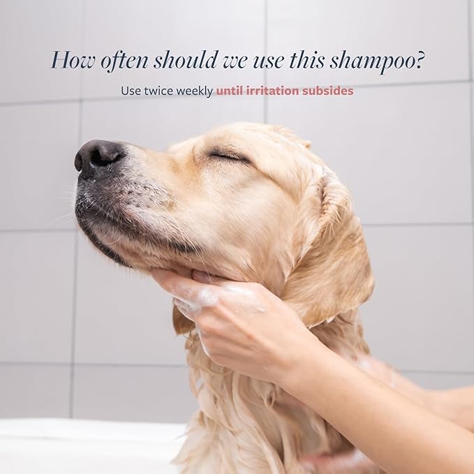 Veterinary Formula Clinical Care Hot Spot & Itch Relief Medicated Shampoo for Dogs and Cats 128oz – Helps Alleviate Sensitive Skin, Scratching, and Licking of Coat