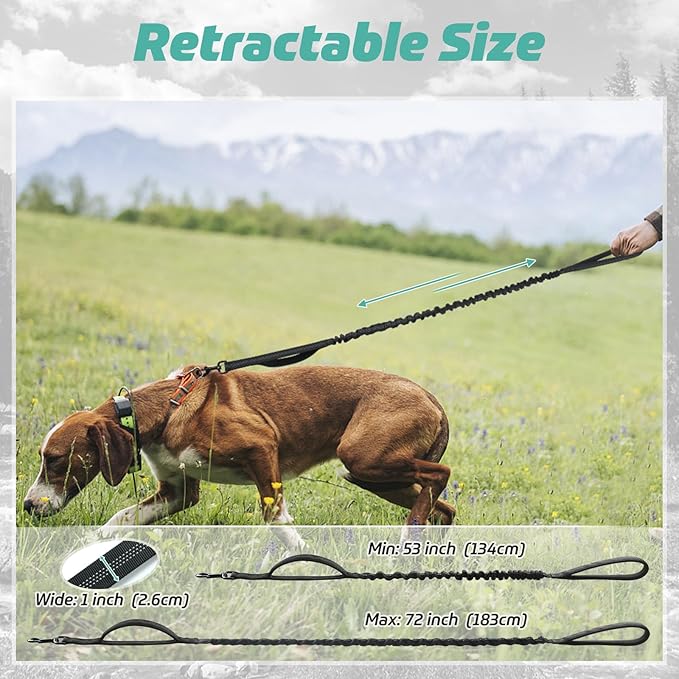 rabbitgoo Tactical Bungee Dog Leash with Shock Absorption, Military Training Leash with 2 Padded Control Handles for Medium Large Dogs, 6FT, Black