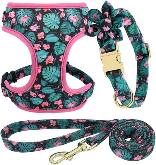 Beirui Cute Girl Dog Collars, Harnesses & Leashes Set - Adjustable Dog Collar and Leash Set with Flower - Soft Mesh Dog Vest Harness for Puppies Small Medium Dogs (Green,S)