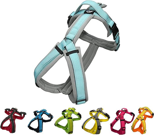 [白山:Hakusan] Zero Dog Harness Made by Japan, Safe - No chocking/Hard to Disconnect, Great fit - Easy Put on and Off/Adjustable, Reflector, L - Large Dog, Two-Tone Gray × Mint