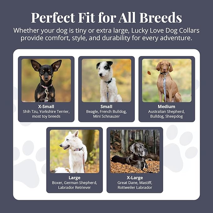 Lucky Love Dog - Adjustable Dog Collar with Easy Click Buckle for Small to Large Ones, Durable, & Comfortable for Male & Female Dogs, Pet Collar for Puppies & Adult Dogs - Hippie, Medium